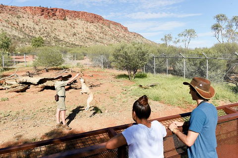 Alice Springs Desert Park General Entry Ticket - Accommodation Newcastle 9