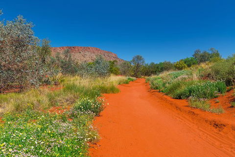 Alice Springs Desert Park General Entry Ticket - Accommodation Newcastle 7
