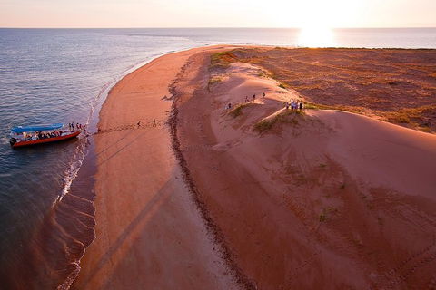 Turtle Tracks Tour To Bare Sand Island From Darwin - Accommodation Newcastle 6