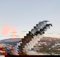 Alice Springs Highlights Half-Day Tour - Accommodation Newcastle