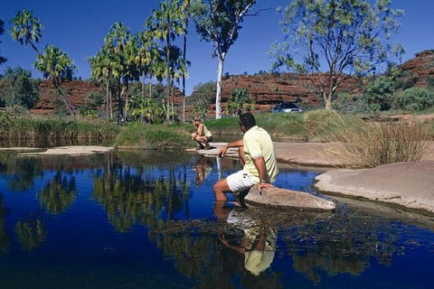 Palm Valley 4WD Day Tour - Accommodation Newcastle 3