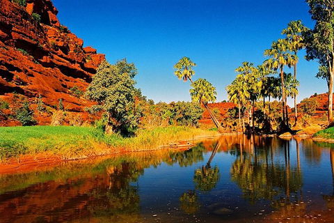 Palm Valley 4WD Day Tour - Accommodation Newcastle 1