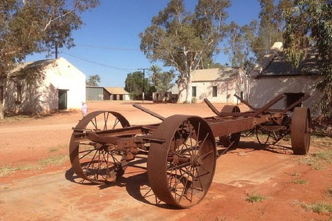 Palm Valley 4WD Day Tour - Accommodation Newcastle 2