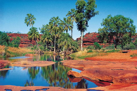 Palm Valley 4WD Tour From Alice Springs - Accommodation Newcastle 1