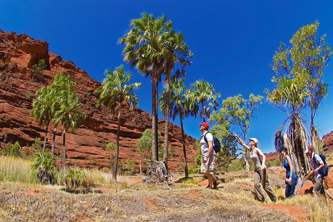 Palm Valley 4WD Tour From Alice Springs - Accommodation Newcastle 0