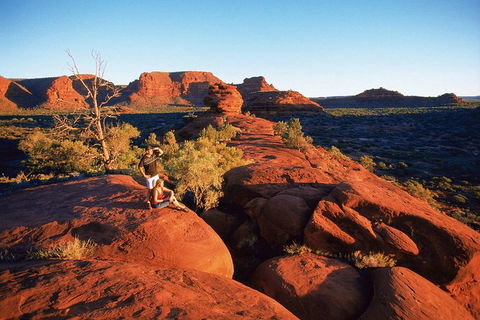 Palm Valley 4WD Tour From Alice Springs - Accommodation Newcastle 4