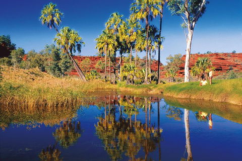 Palm Valley 4WD Tour From Alice Springs - Accommodation Newcastle 3