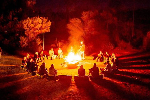 3-Day Red Centre Camping Safari From Alice Springs Or Ayers Rock Including Kings Canyon - Accommodation Newcastle 1