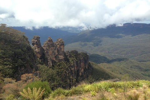 All-Inclusive Blue Mountains Tour In A Luxury Mercedes Sprinter - Accommodation Newcastle 11