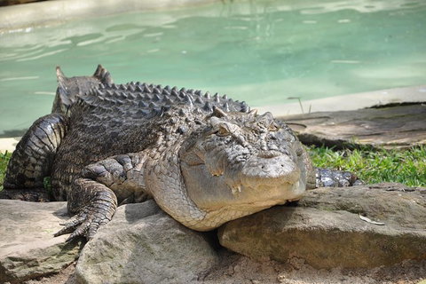 All-Inclusive Blue Mountains Tour In A Luxury Mercedes Sprinter - Accommodation Newcastle 14