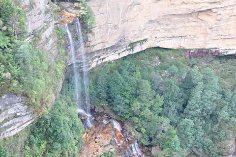 All-Inclusive Blue Mountains Tour In A Luxury Mercedes Sprinter - Accommodation Newcastle 17