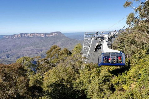 All-Inclusive Blue Mountains Tour In A Luxury Mercedes Sprinter - Accommodation Newcastle 6