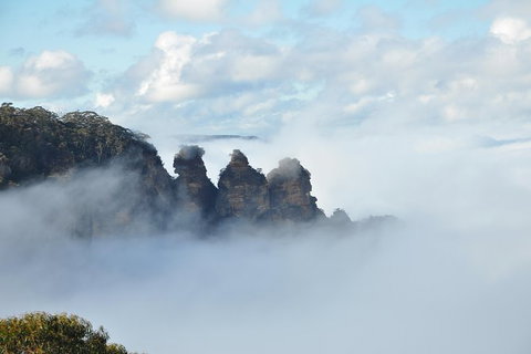 All-Inclusive Blue Mountains Tour In A Luxury Mercedes Sprinter - Accommodation Newcastle 15