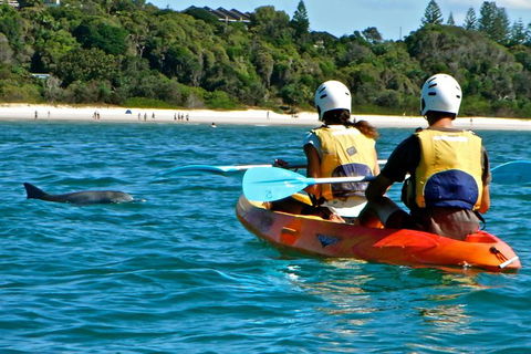 The Byron Bay Sea Kayak Tour - Accommodation Newcastle 1