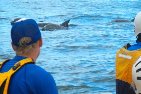 The Byron Bay Sea Kayak Tour - Accommodation Newcastle 11
