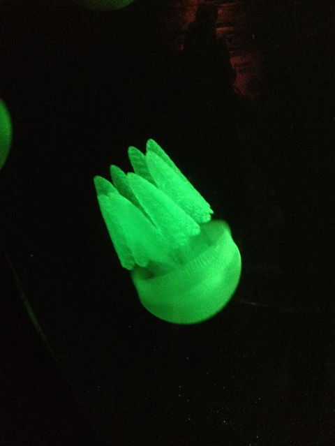 SEA LIFE Sydney Aquarium Entrance Ticket - Accommodation Newcastle 2