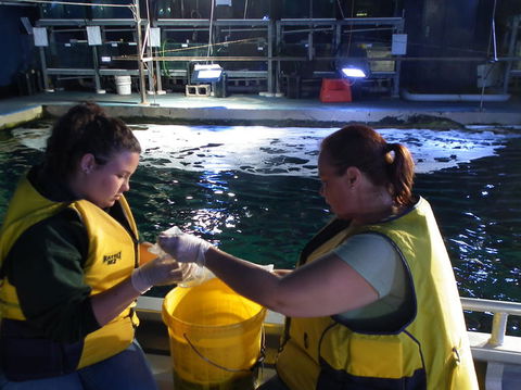 SEA LIFE Sydney Aquarium Entrance Ticket - Accommodation Newcastle 14