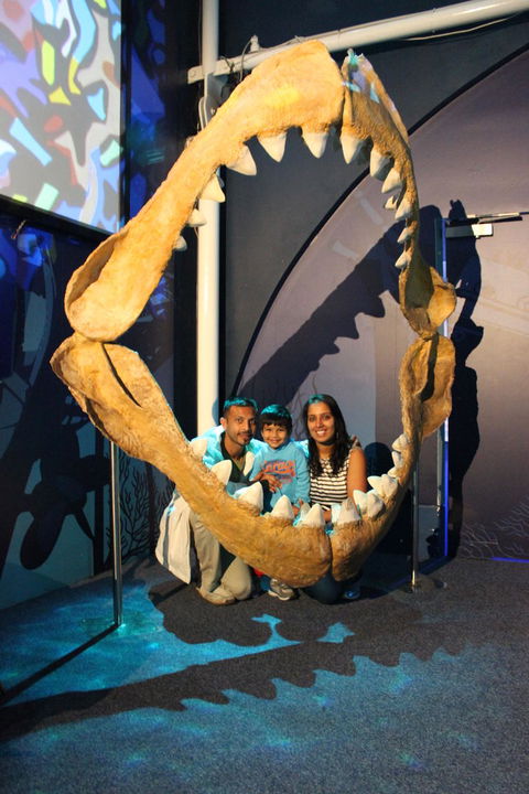 SEA LIFE Sydney Aquarium Entrance Ticket - Accommodation Newcastle 6