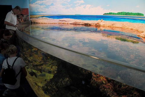 SEA LIFE Sydney Aquarium Entrance Ticket - Accommodation Newcastle 24