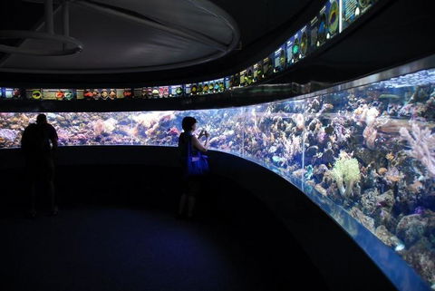 SEA LIFE Sydney Aquarium Entrance Ticket - Accommodation Newcastle 23