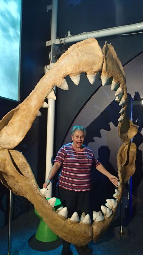 SEA LIFE Sydney Aquarium Entrance Ticket - Accommodation Newcastle 3