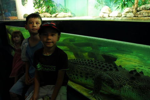 SEA LIFE Sydney Aquarium Entrance Ticket - Accommodation Newcastle 22