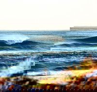 7-Day Byron Bay Evans Head and Moonee Beach Surf Safari from Brisbane Gold Coast or Byron Bay - Accommodation Newcastle