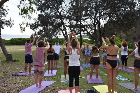 7-Day Byron Bay, Evans Head And Moonee Beach Surf Safari From Brisbane, Gold Coast Or Byron Bay - Accommodation Newcastle 3