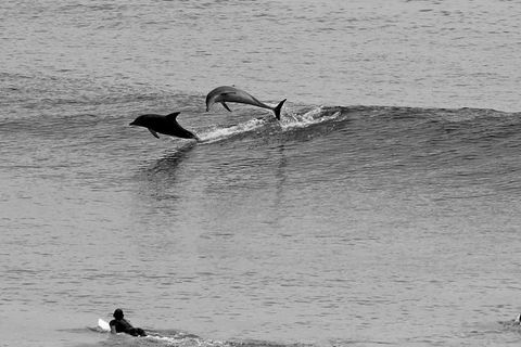 7-Day Byron Bay, Evans Head And Moonee Beach Surf Safari From Brisbane, Gold Coast Or Byron Bay - Accommodation Newcastle 6