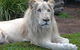 Private Shoalhaven Zoo Experience From Sydney - thumb 1