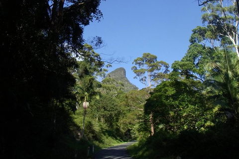 Mount Warning Day Trip From Byron Bay Including BBQ Lunch - Accommodation Newcastle 6