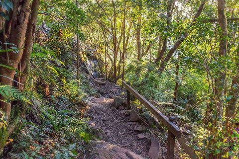Mount Warning Day Trip From Byron Bay Including BBQ Lunch - Accommodation Newcastle 9