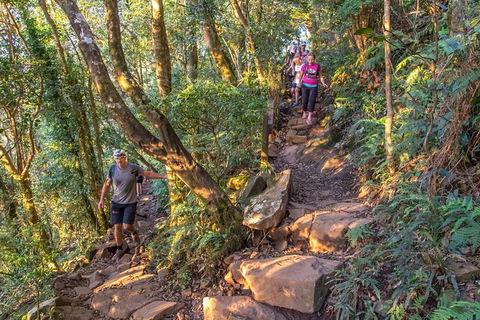 Mount Warning Day Trip From Byron Bay Including BBQ Lunch - Accommodation Newcastle 11