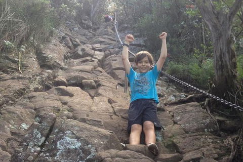 Mount Warning Day Trip From Byron Bay Including BBQ Lunch - Accommodation Newcastle 8