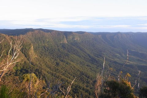 Mount Warning Day Trip From Byron Bay Including BBQ Lunch - Accommodation Newcastle 2