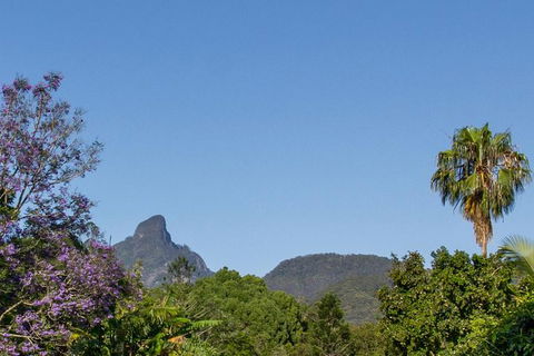 Mount Warning Day Trip From Byron Bay Including BBQ Lunch - Accommodation Newcastle 3