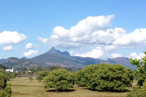 Mount Warning Day Trip From Byron Bay Including BBQ Lunch - Accommodation Newcastle 7