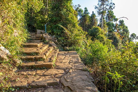Mount Warning Day Trip From Byron Bay Including BBQ Lunch - Accommodation Newcastle 10