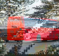 SkyBus Byron Bay Express - Accommodation Newcastle