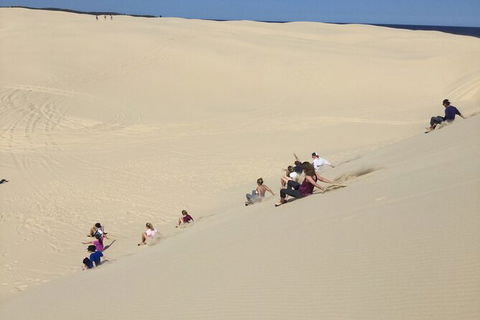 Port Stephens Bush, Beach And Sand Dune 4WD Passenger Tour - Accommodation Newcastle 2