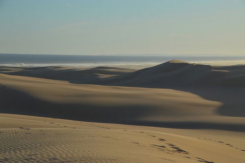 Port Stephens Bush, Beach And Sand Dune 4WD Passenger Tour - Accommodation Newcastle 6