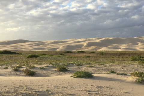 Port Stephens Bush, Beach And Sand Dune 4WD Passenger Tour - Accommodation Newcastle 3