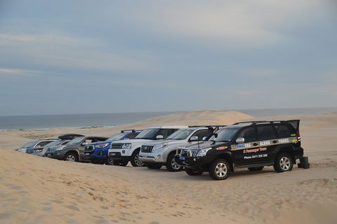 Port Stephens Bush, Beach And Sand Dune 4WD Passenger Tour - Accommodation Newcastle 7