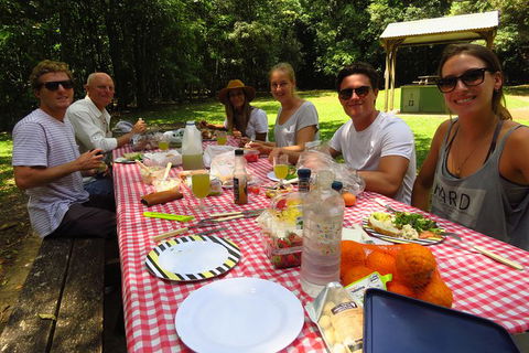Byron Bay Wildlife Safari - Accommodation Newcastle 8