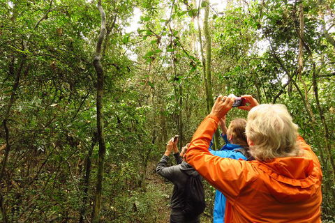Byron Bay Wildlife Safari - Accommodation Newcastle 12