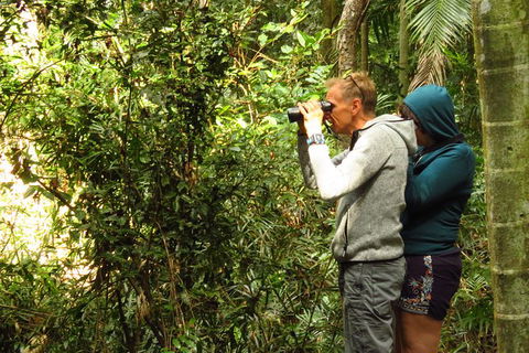 Byron Bay Wildlife Safari - Accommodation Newcastle 10