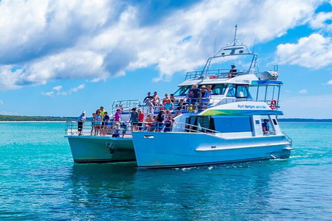 Jervis Bay Whale Watching Tour - Accommodation Newcastle 2