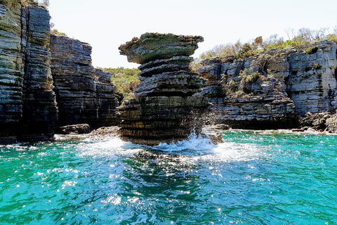 Jervis Bay Passage Tour - Accommodation Newcastle 15