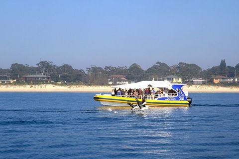 Jervis Bay Passage Tour - Accommodation Newcastle 16