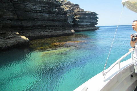 Jervis Bay Passage Tour - Accommodation Newcastle 14